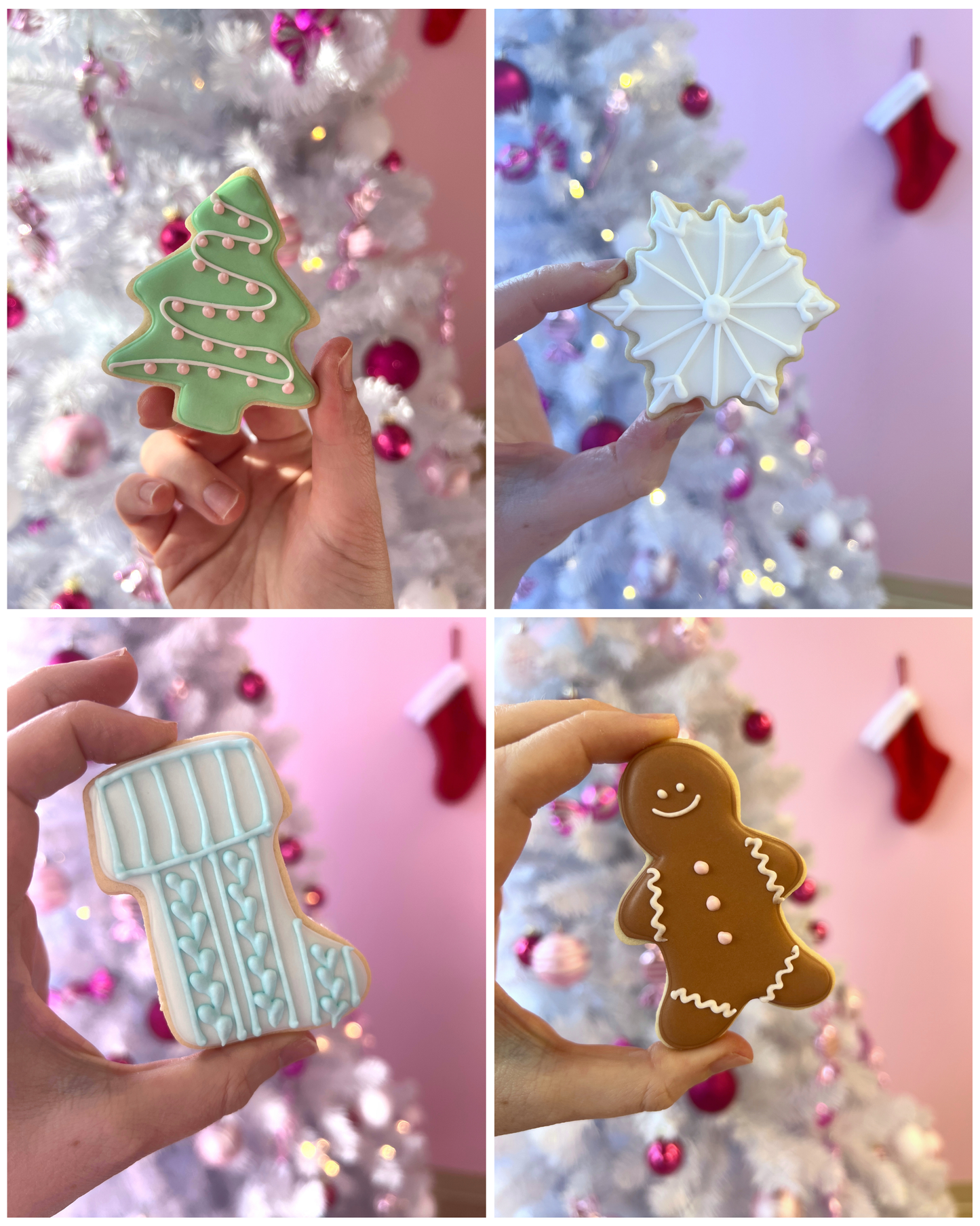 Sugar Cookie gift box